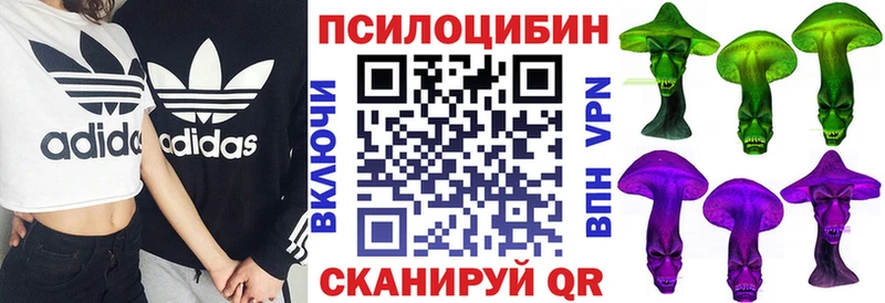сколько стоит  Феодосия  Псилоцибиновые грибы ЛСД 